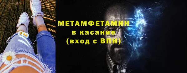индика Богданович