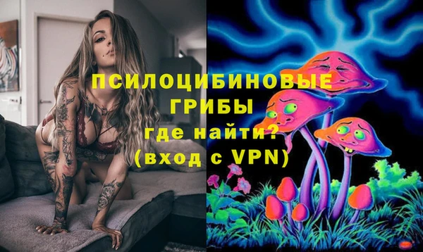 МДПВ Бугульма
