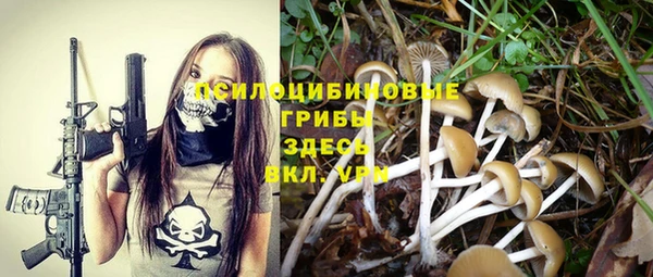 МДПВ Бугульма