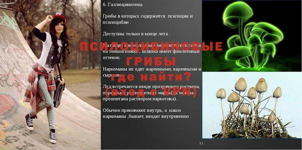 ALPHA PVP Бородино