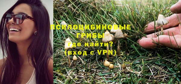 мяу мяу мука Верхний Тагил