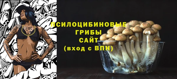 МДПВ Бугульма