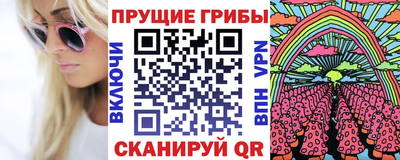 Псилоцибиновые грибы Cubensis  Исилькуль 